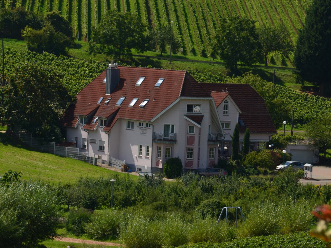 Hotel und Restaurant Castell主图