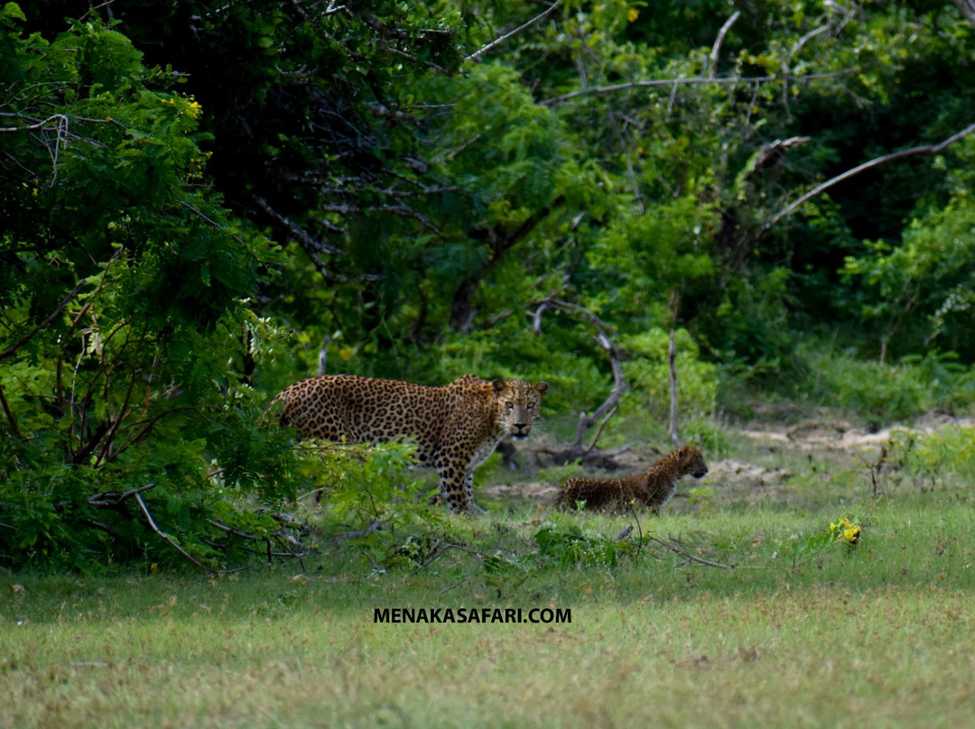 Menaka Safari-蒂瑟默哈拉默必去景点
