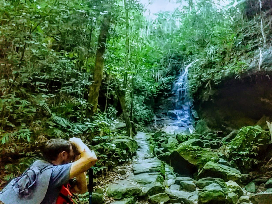 Jungle Me - Hiking and Trekking Ecotours景点图片