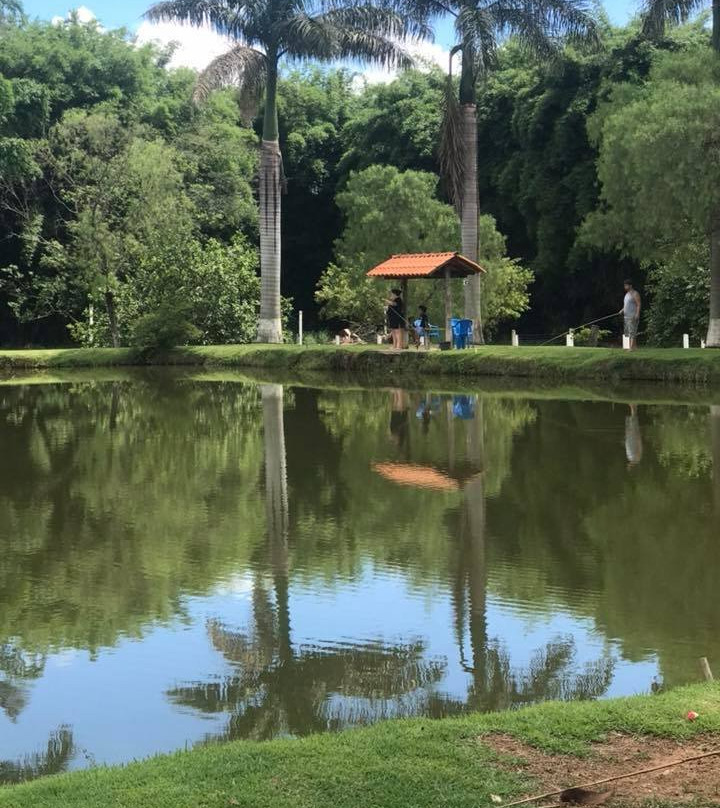Pesque Pague Recanto dos Amigos-德尔雷伊必去景点