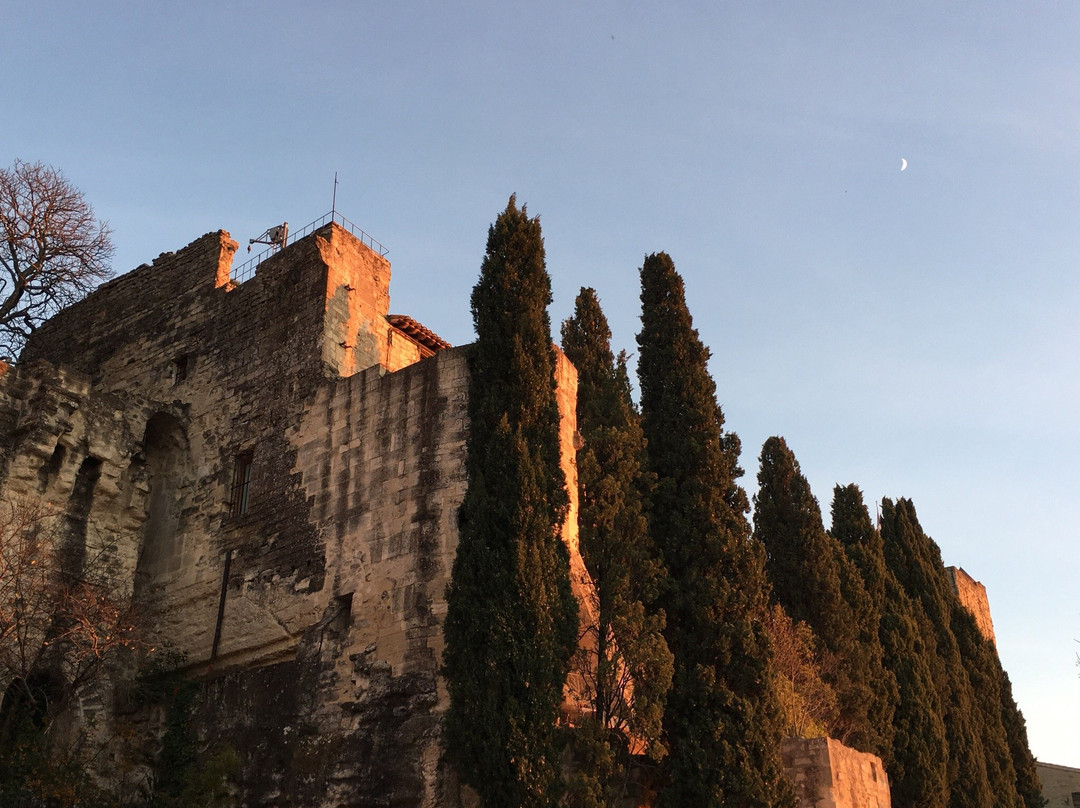Château de Sommières景点图片