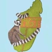 Madagascar Green Tours-安齐拉贝必去景点