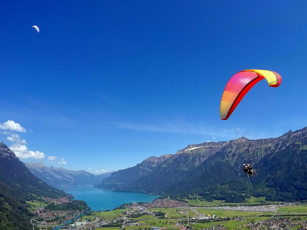 AlpinAir Paragliding景点图片