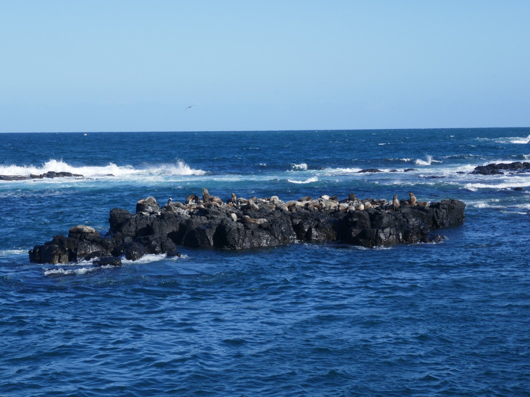 Seal Rock景点图片