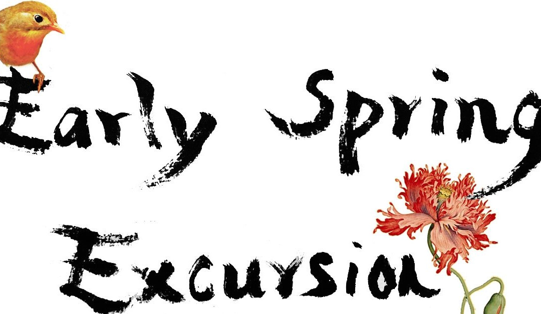 早春游-大理市必去景点