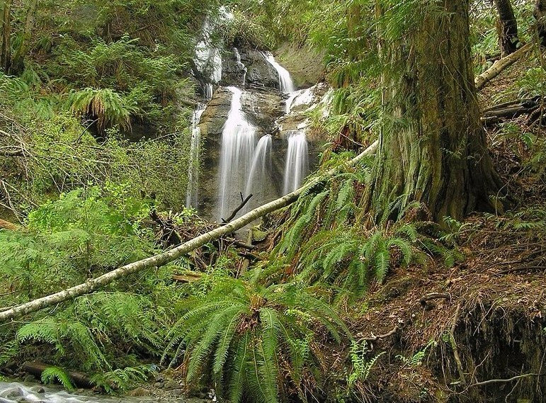 Beach Estates Park-纳奈莫必去景点