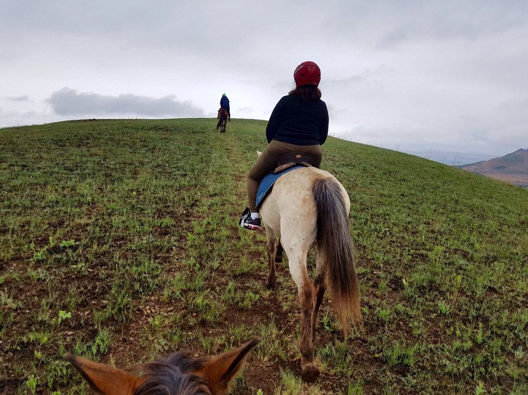 Ushaka Horse Trails-温特顿必去景点
