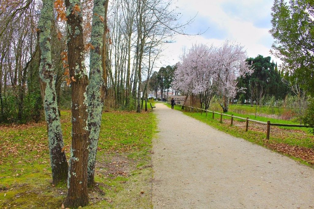 Parque Da Cidade景点图片