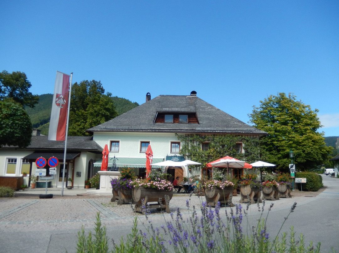 Langlaufdorf Faistenau景点图片