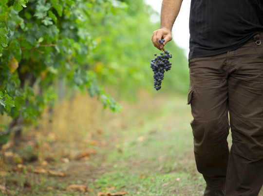 Genuinely Extraordinary Southern Forests Food and Farm Experience-Manjimup必去景点