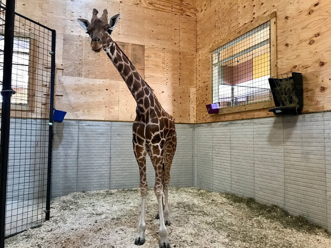 Monsoon Lagoon Water Park-克林顿港必去景点