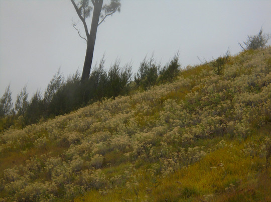 Novi's Tour-Senaru必去景点