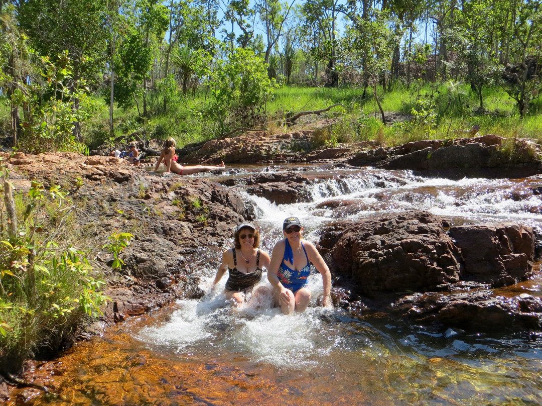Litchfield Tours-达尔文市必去景点