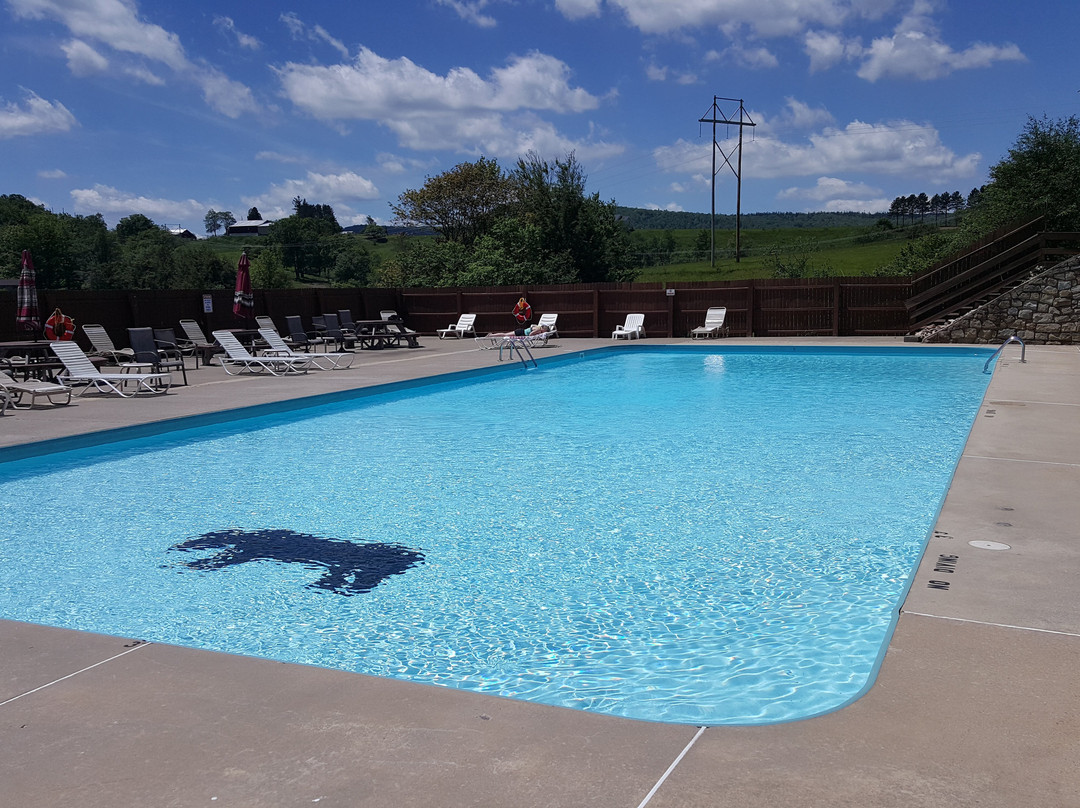 Black Bear Resort