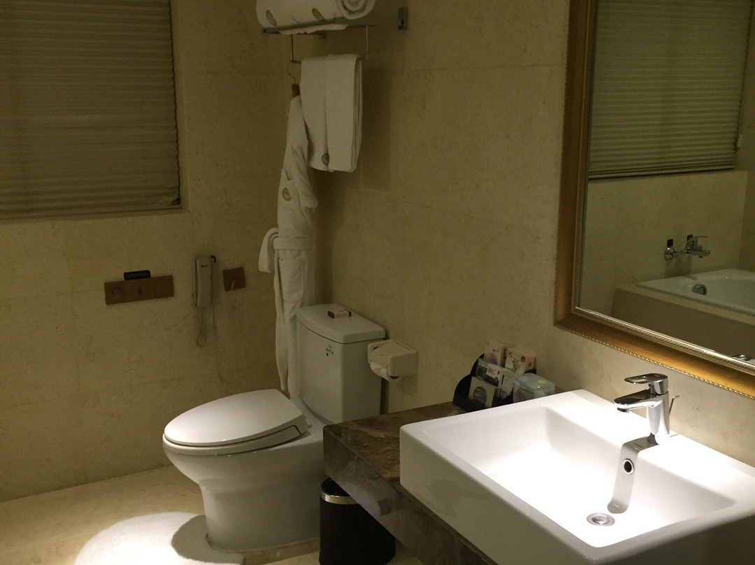 建湖明星城大酒店主图