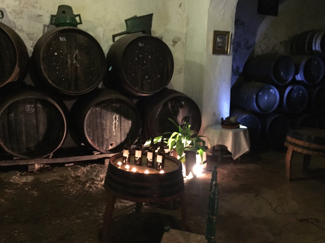 Bodegas Faustino Gonzalez-赫雷斯德拉弗隆特拉必去景点