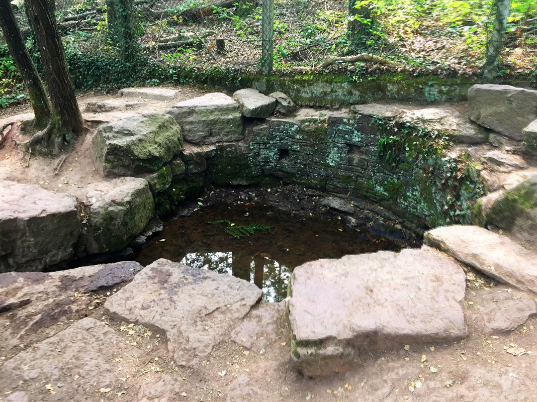 Tombeau de Merlin / Fontaine de Jouvence景点图片