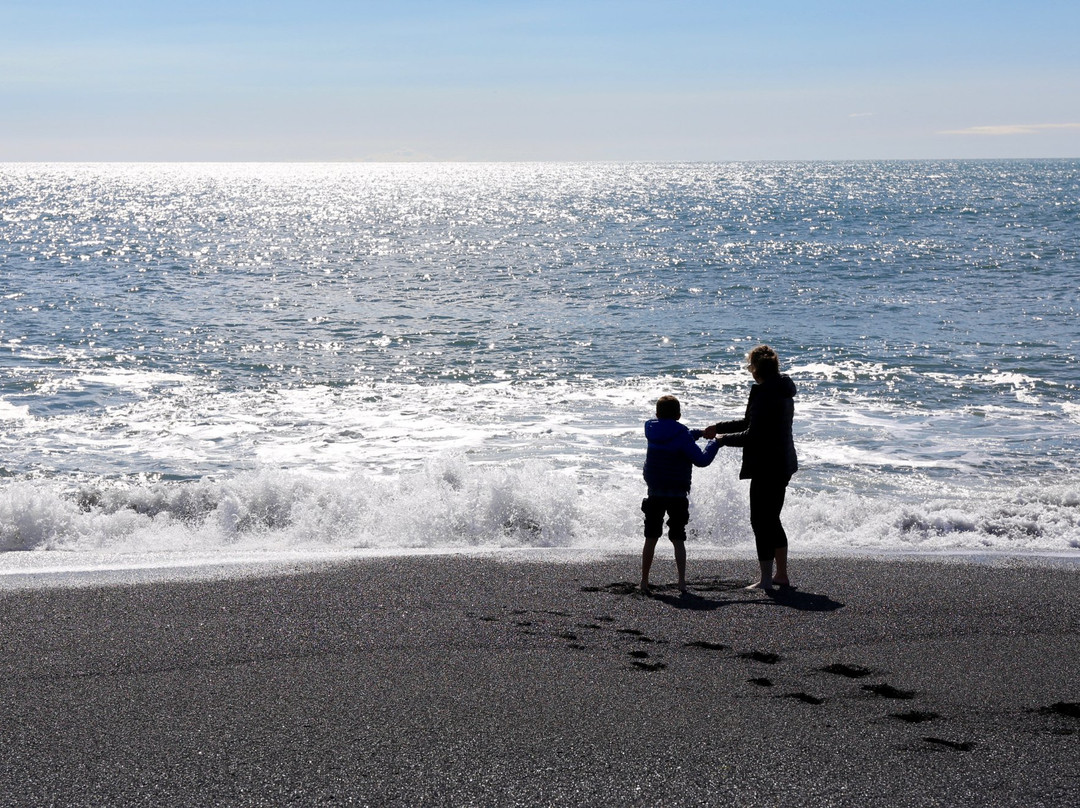 MudShark Tours-海拉必去景点