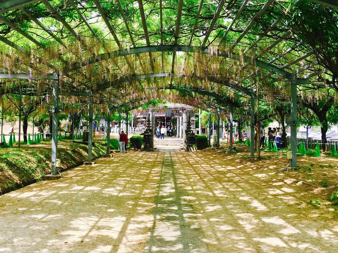 Yamada Hiyoshi Shrine-玉名市必去景点