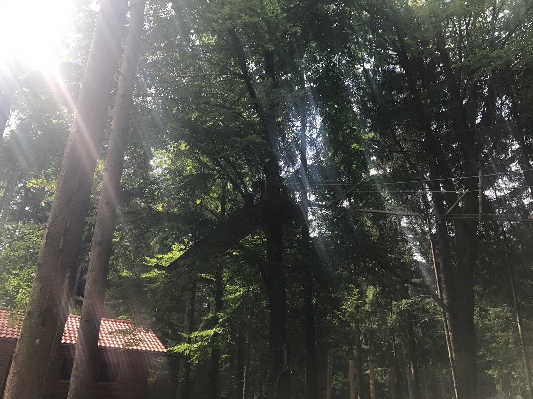 Velburg旅游攻略图片