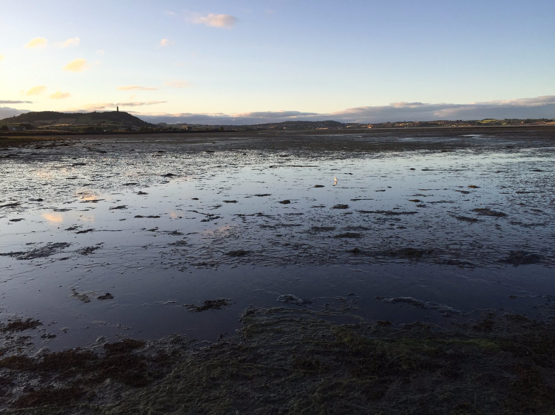 Island Hill & North Strangford Nature Reserve景点图片