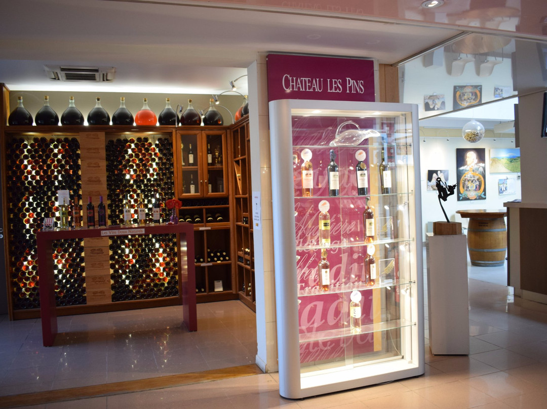 Vignobles Dom Brial景点图片