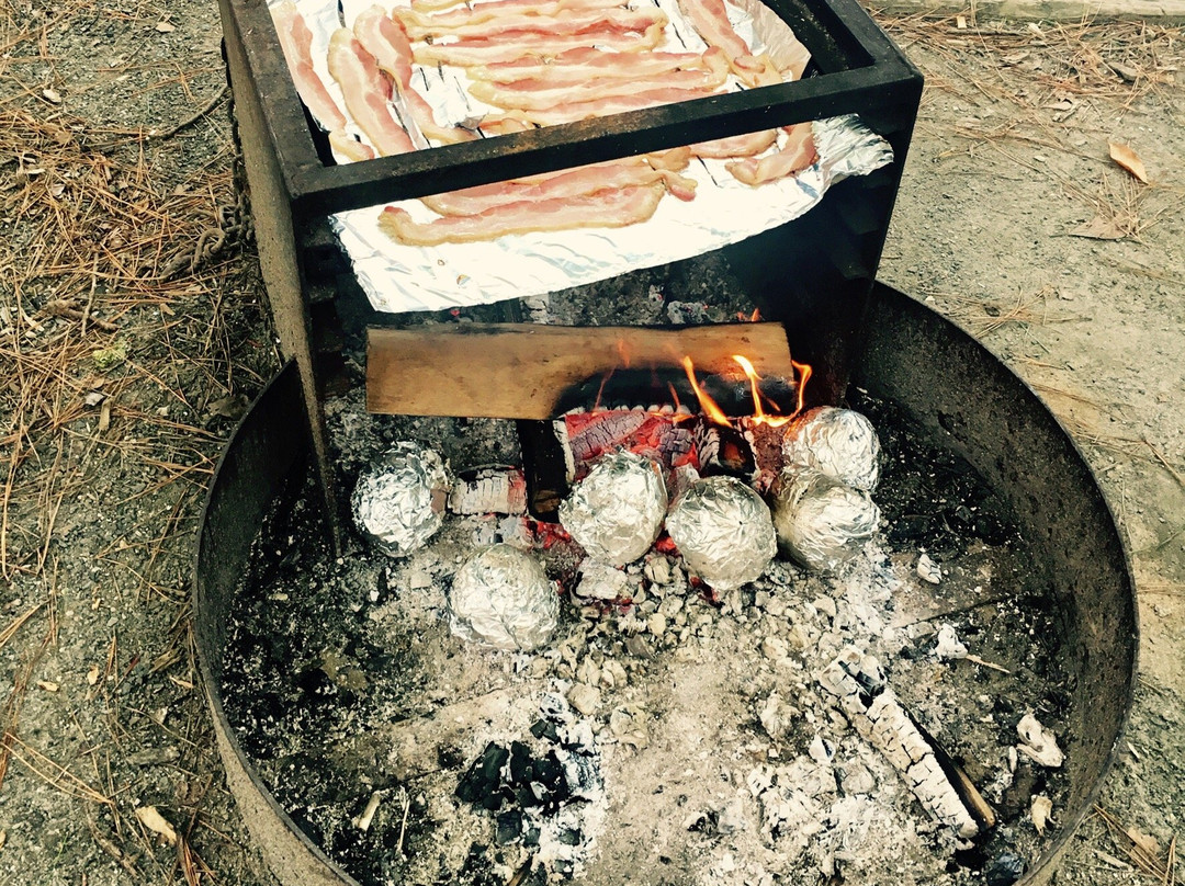 Pocomoke River State Park-Snow Hill必去景点