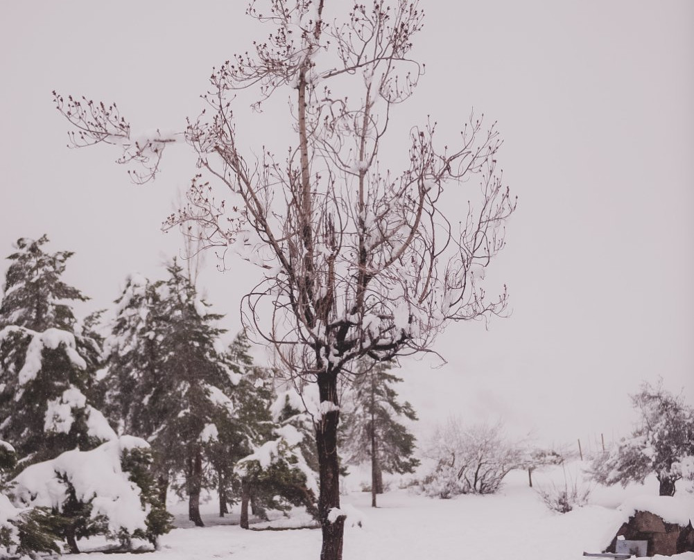 Plaza de los Pumas-Farellones必去景点