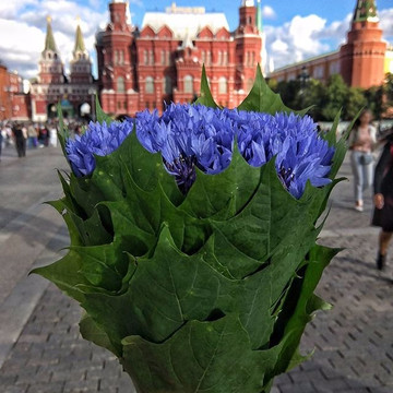 Spasibo Tours-莫斯科必去景点