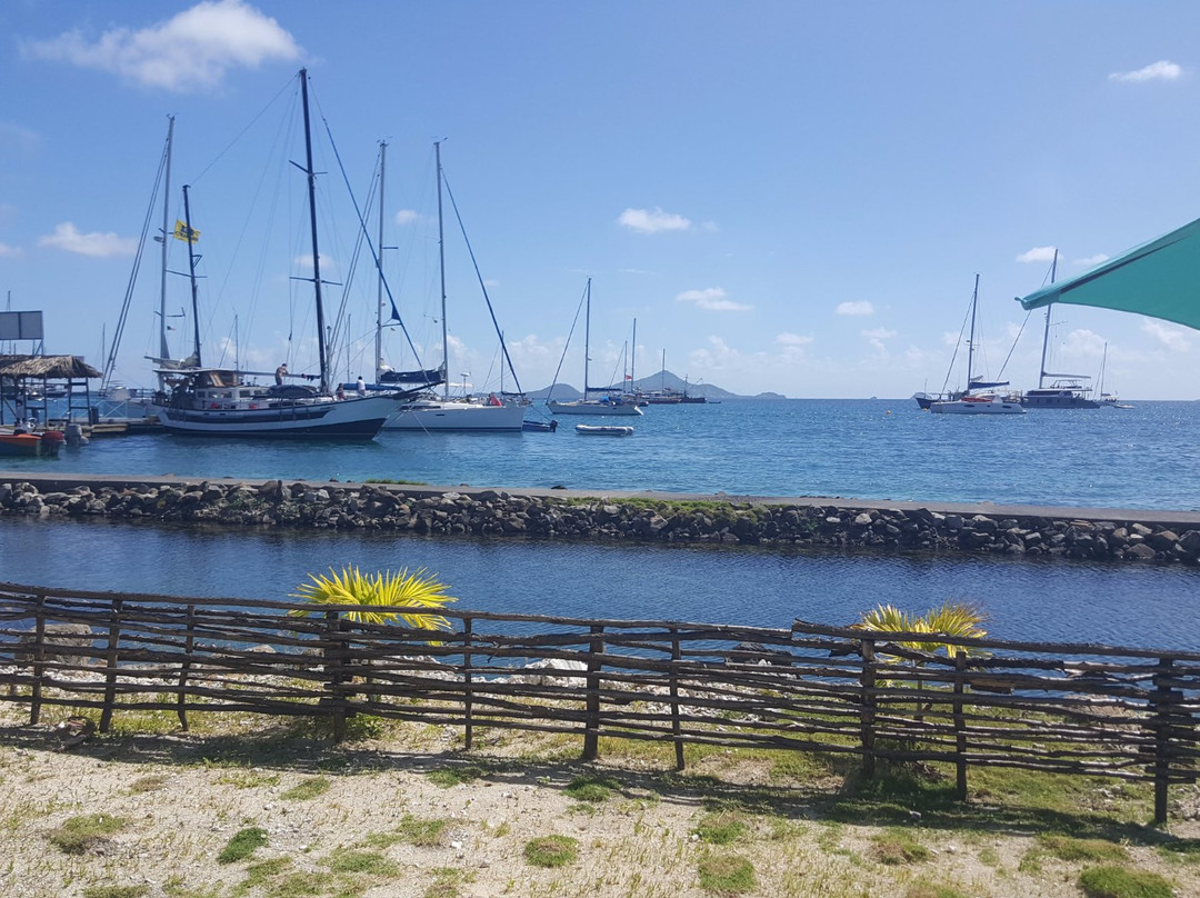 Horizon Yachts Grenada-St. George's必去景点