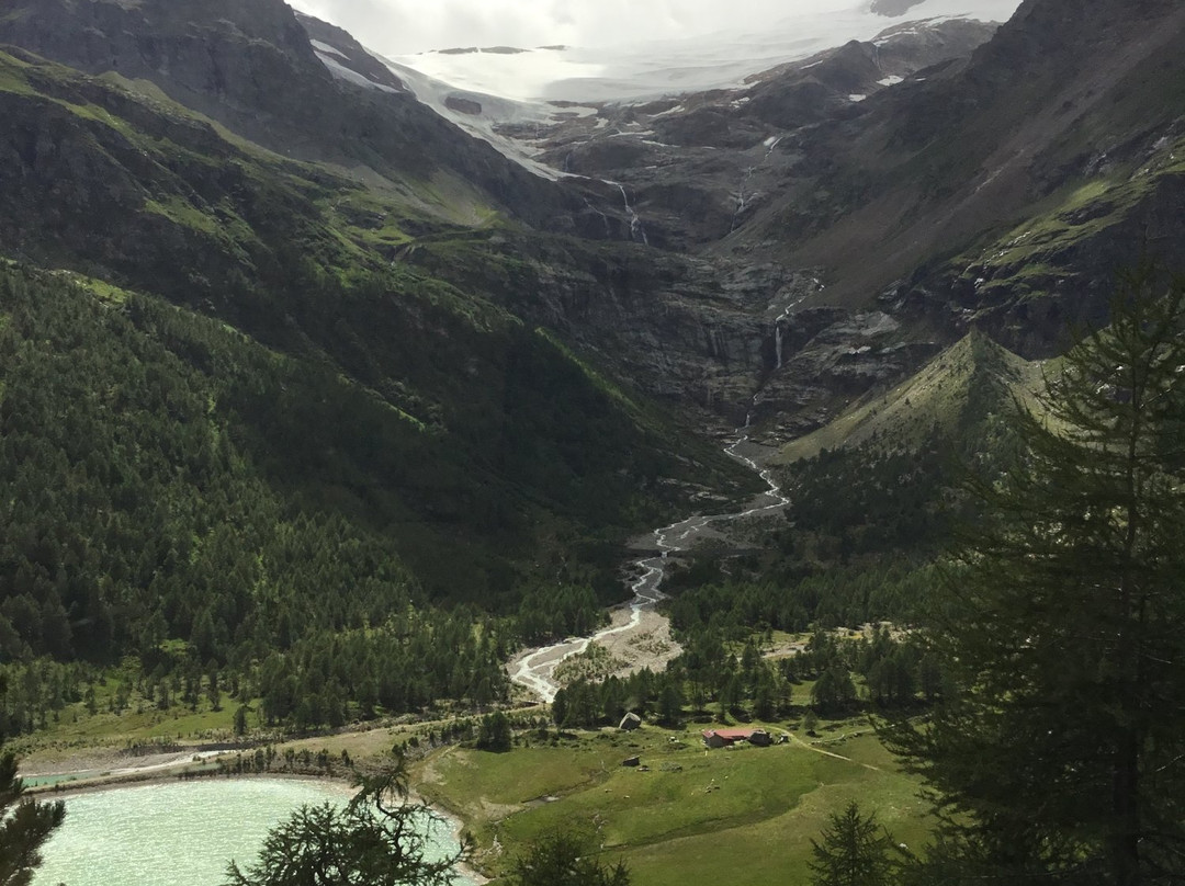 The Cavaglia Glacier Garden景点图片
