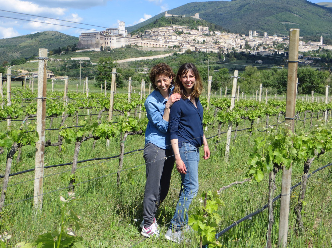 Azienda Agraria Saio-阿西西必去景点