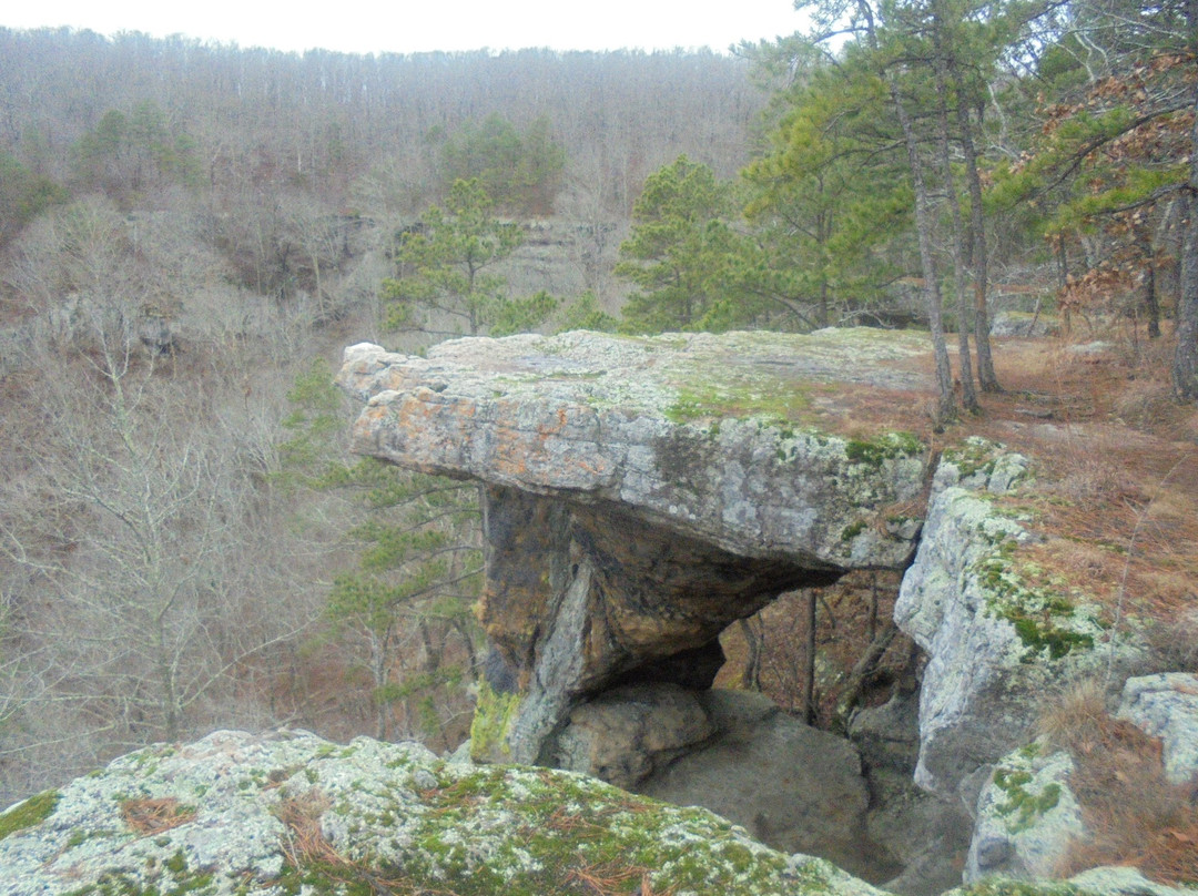 Ozark-St. Francis National Forests景点图片