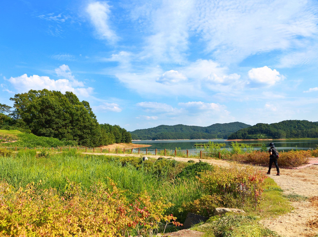 Daechungho Obaekri-Gil-大田必去景点