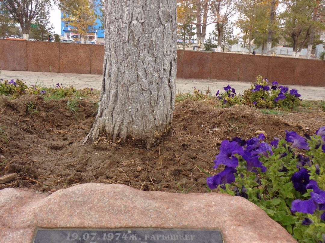 Alley of Pines Planted by Cosmonauts-Zhezkazgan必去景点