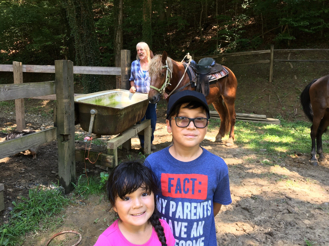 Nantahala Village Riding Stable景点图片