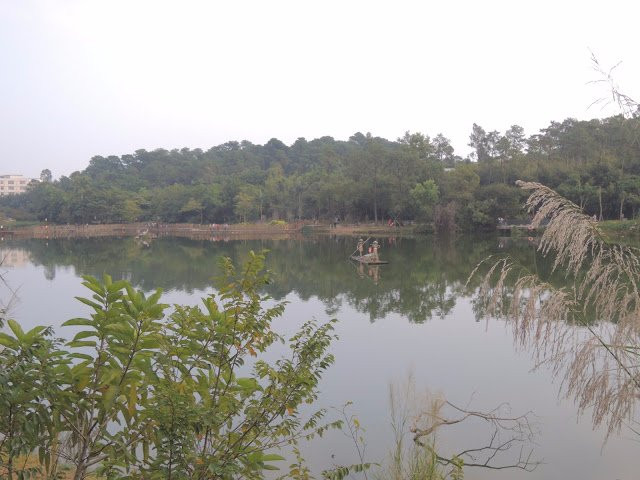 金山森林公园景点图片