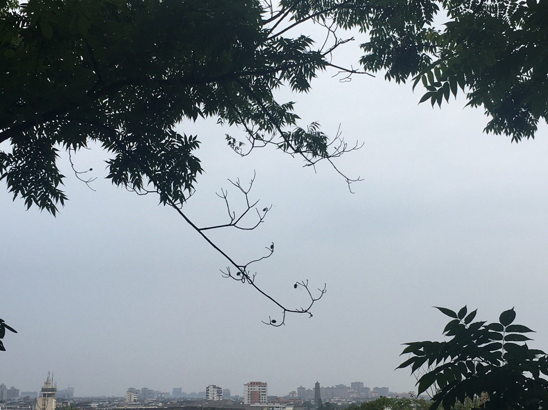 都江堰森林公园-都江堰市必去景点