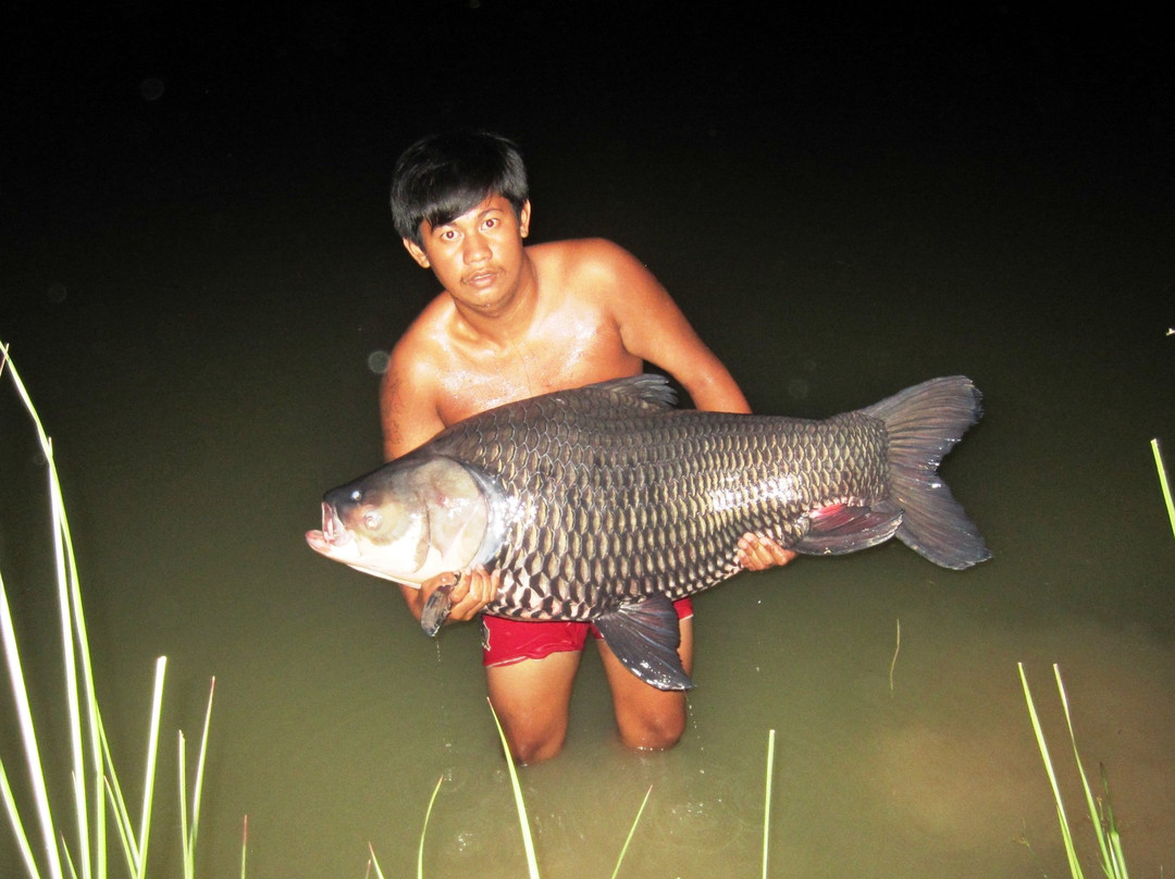 Siamese Carp Fishing Lakes Thailand景点图片
