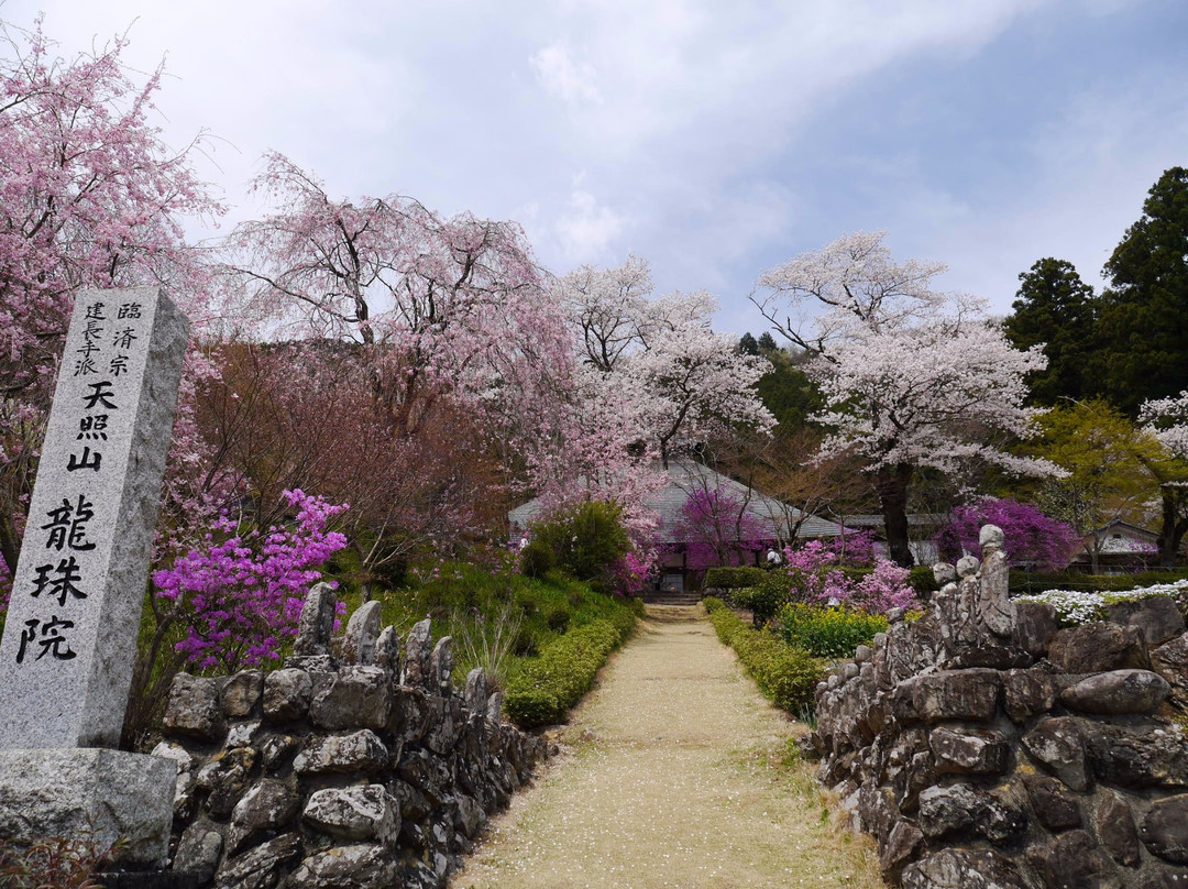Ryushuin-秋留野市必去景点