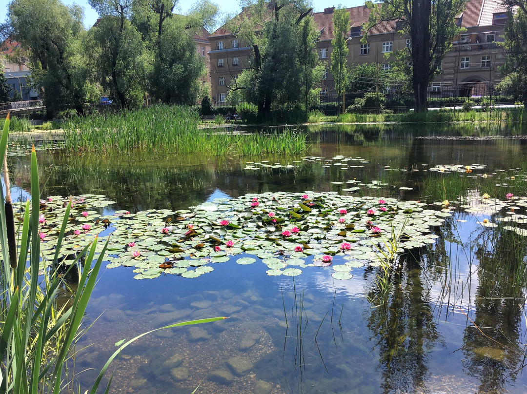 Mestsky Park
