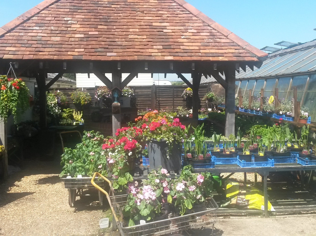 Ager Farm Nursery-Newchurch必去景点