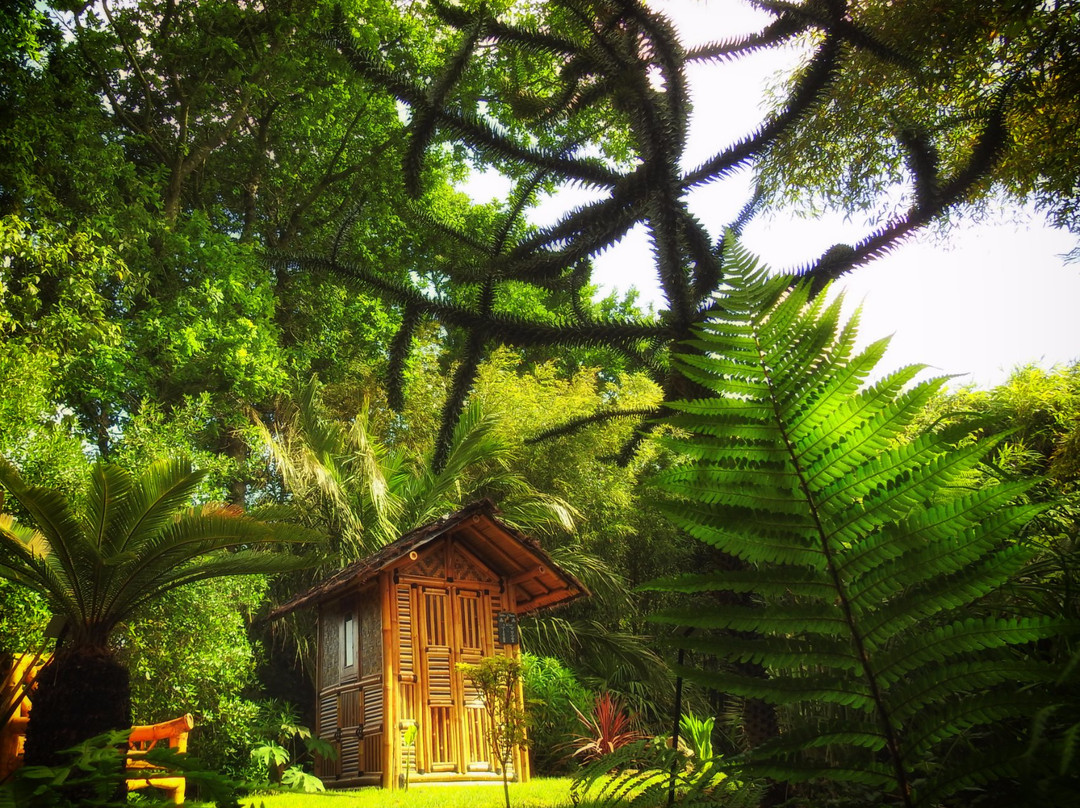 Jardin Exotique de Saint Renan景点图片