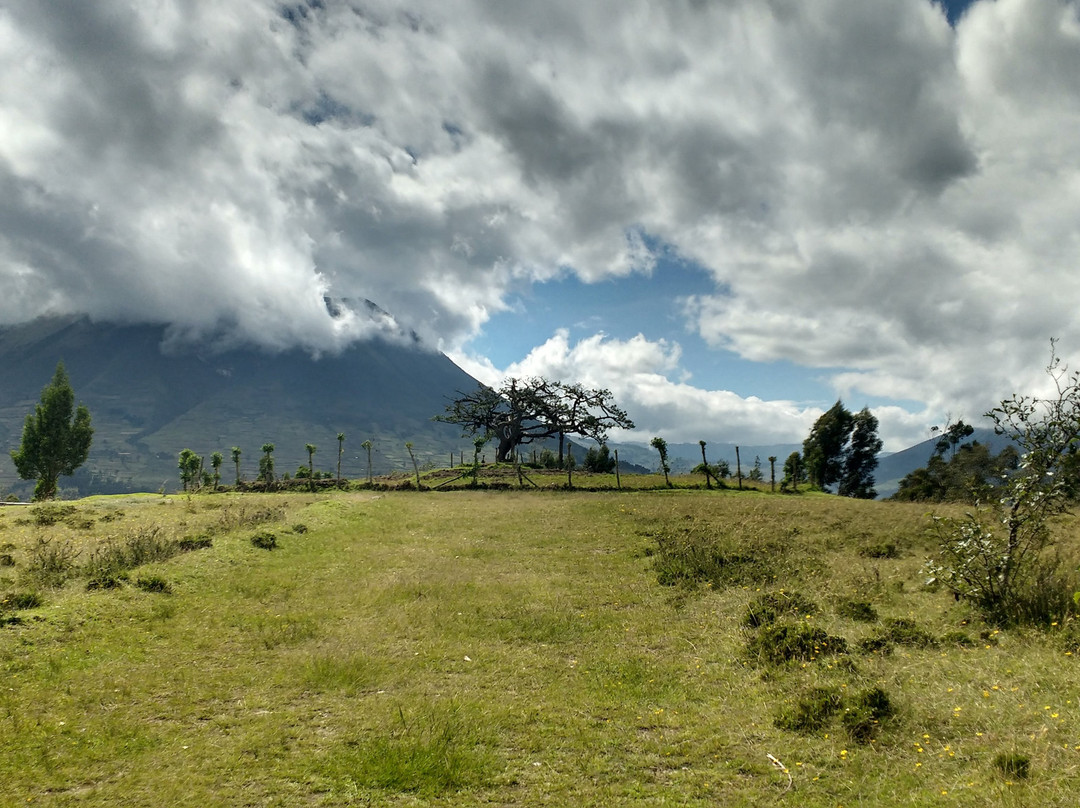 El Lechero-奥塔瓦洛必去景点