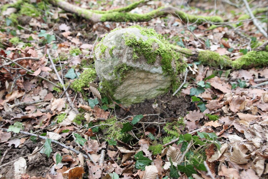 Borne Armoriée De Dracy-le-fort