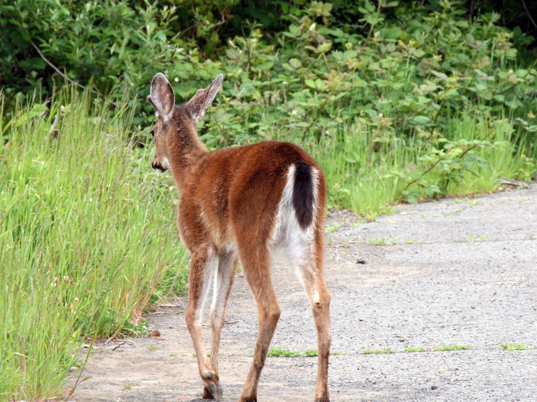 Siletz Bay National Wildlife Refuge-林肯城必去景点