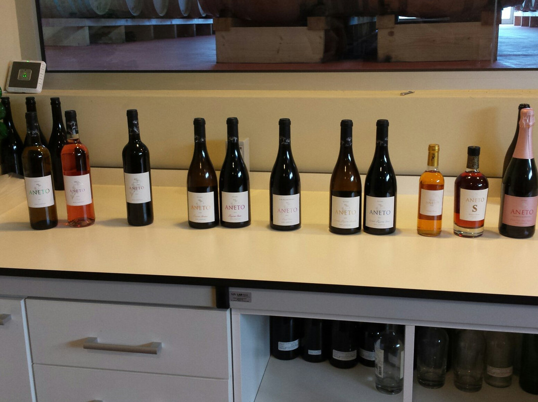 Aneto Wines景点图片