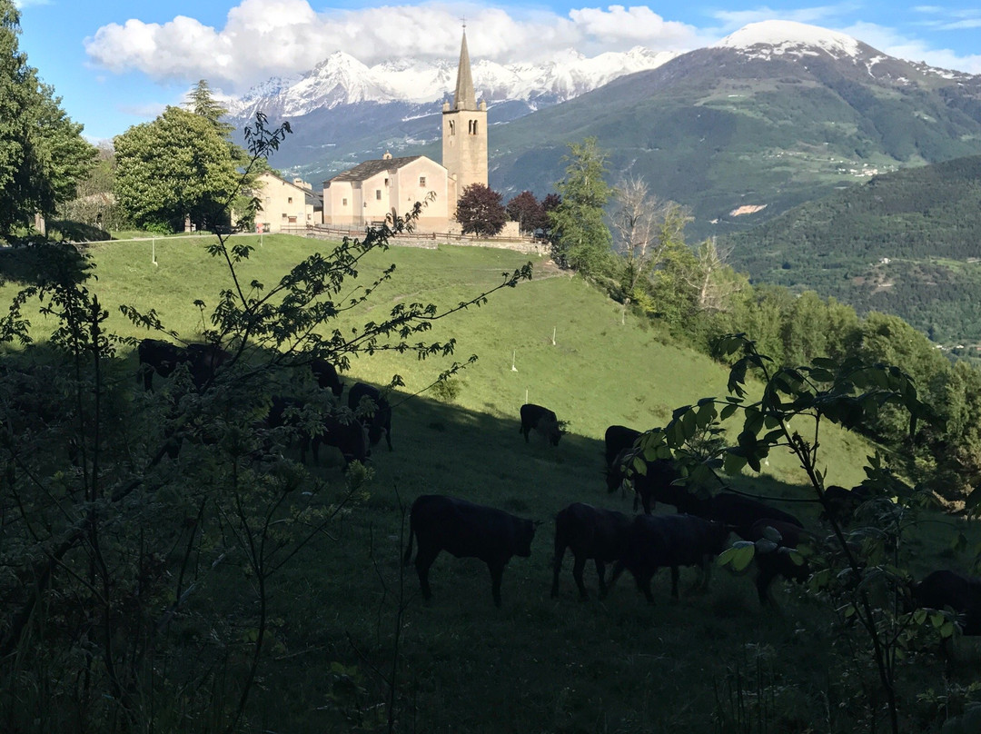 Chiesa di San Nicola景点图片