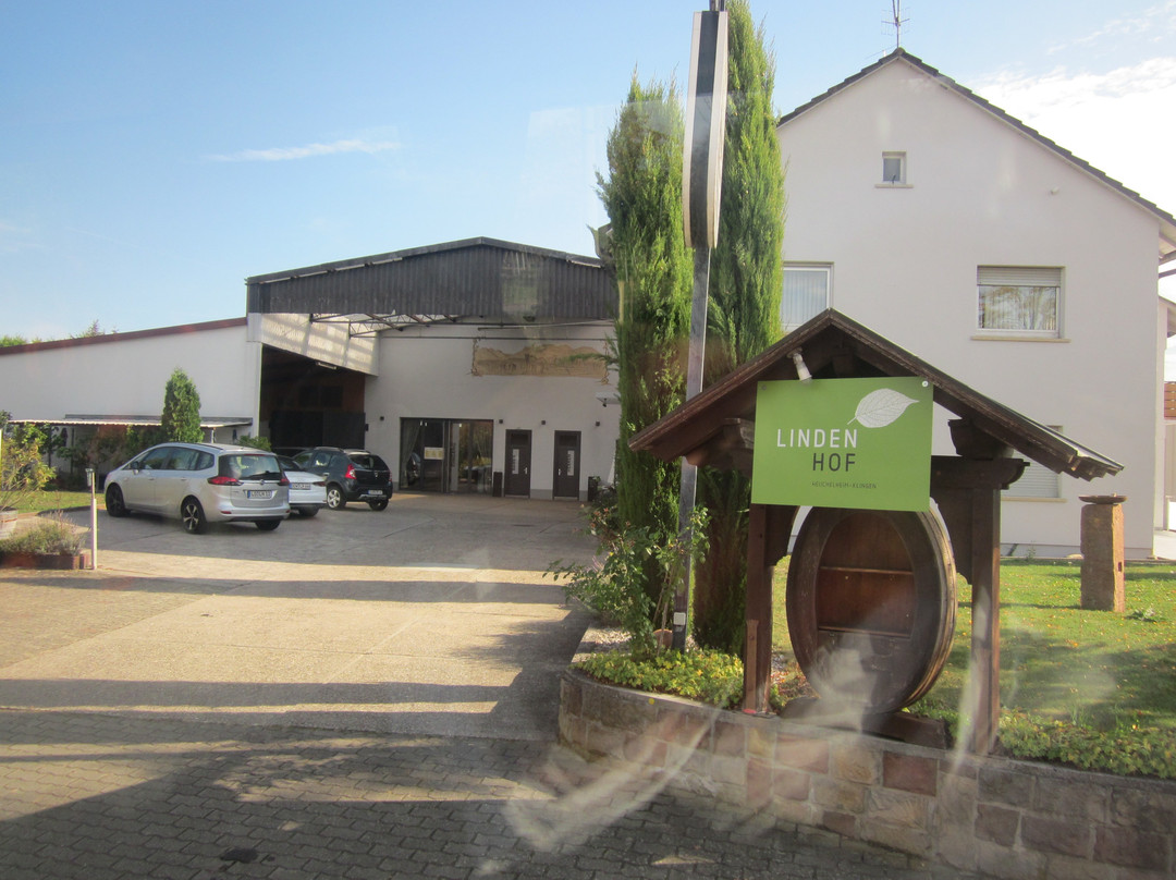 Eugen Spindler Weingut Lindenhof-Forst an der Weinstrasse必去景点