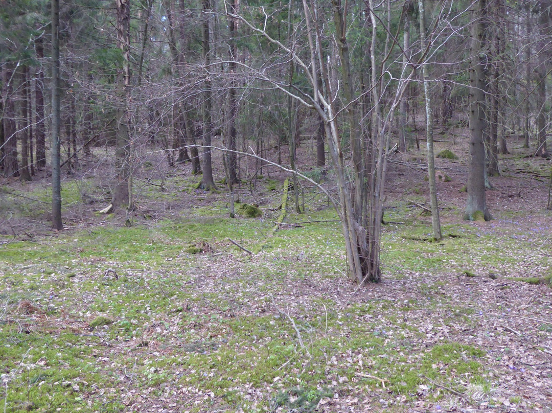 Liessaari Nature- & Wellness Trail-Lohja必去景点